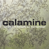 The Accident by Calamine