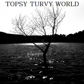 topsy turvy world