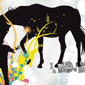 i wish i had a horse's head