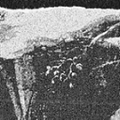 Cave Ritual / Folteraar