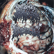 Blenorrhagical Spermatocystitis / Dread Cunt split