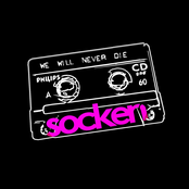 Stupid Songs For Stupid People