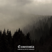 Forever in Love of Darkness