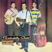 Rockabilly Gold, Volume 11