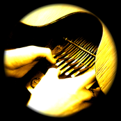 In the Sacred Clearing