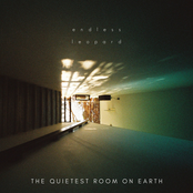 The Quietest Room on Earth