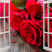 Un Trandafir Creste La Firida Mea