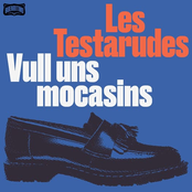 Vull Uns Mocasins
