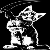 el gatito y su guadaña.