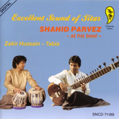 Excellent Sound of Sitar