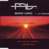 What are you looking 4 & Missing 2002