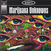 Marijuana Unknowns