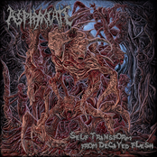 Self Transform From Decayed Flesh by Asphyxiate