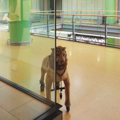 Lead Me Where NPCs Sleep