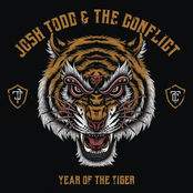 2017 - Year Of The Tiger