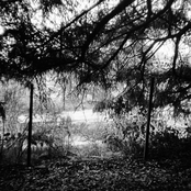 Live on CFUV 101.9 FM