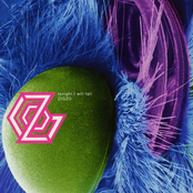 tonight, I will fall