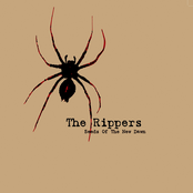 Night After Night by The Rippers