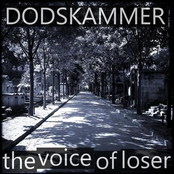 Voice of Loser