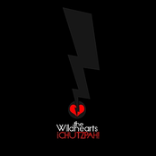 Low Energy Vortex by The Wildhearts