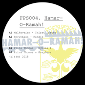 Full Pupp Splits 004 - Hamar-O-Ramah!