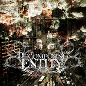 Decomposing Entity - Promo 2012.