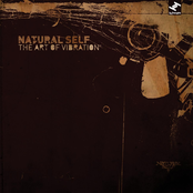 Alright Turn It Up Now by Natural Self