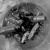 Cała Prawda O Życiu