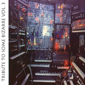 a tribute to some bizarre vol. 3