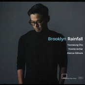 Brooklyn Rainfall