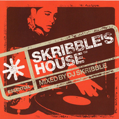 Skribble's House