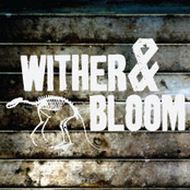 Wither And Bloom