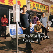 Mourning Train by The Wallflowers