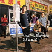 Murder 101 by The Wallflowers