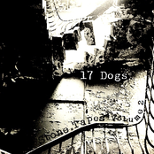 Stone Tapes Volume 2