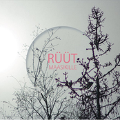 Maasikille/Strawberries