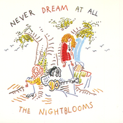 Nightblooms: Never Dream At All