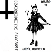 STJERNEBELYST SKOGSSTI II