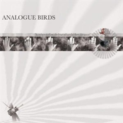 [handnmouthmadedrumnbassdubbreaktrance]