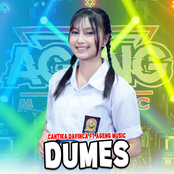 Dumes