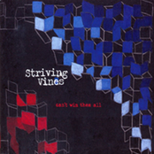 Anything Goes by Striving Vines