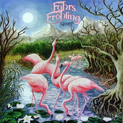 Dancing Colours by Führs & Fröhling