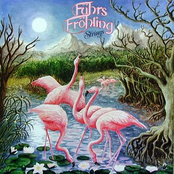 Strings by Führs & Fröhling