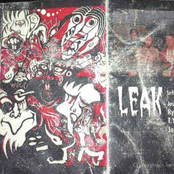 Soft Head for Bullets