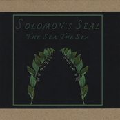 The Sea, The Sea