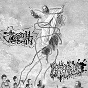 Spoonful of Vicodin & Chainsaw to the Face - Split