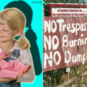 Clone Baby Clone / My Contribution To The Noise Scene