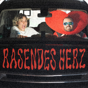 Rasendes Herz