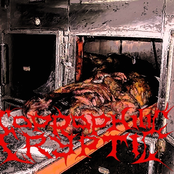 Putrefaction Upon The World