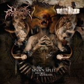 The Spawn Split Into Two Demons